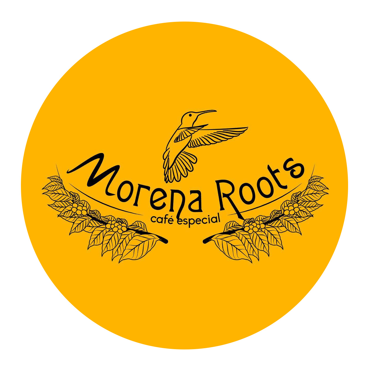Morena Roots